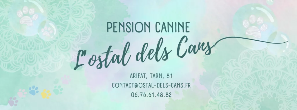 Pension canine Tarn 81